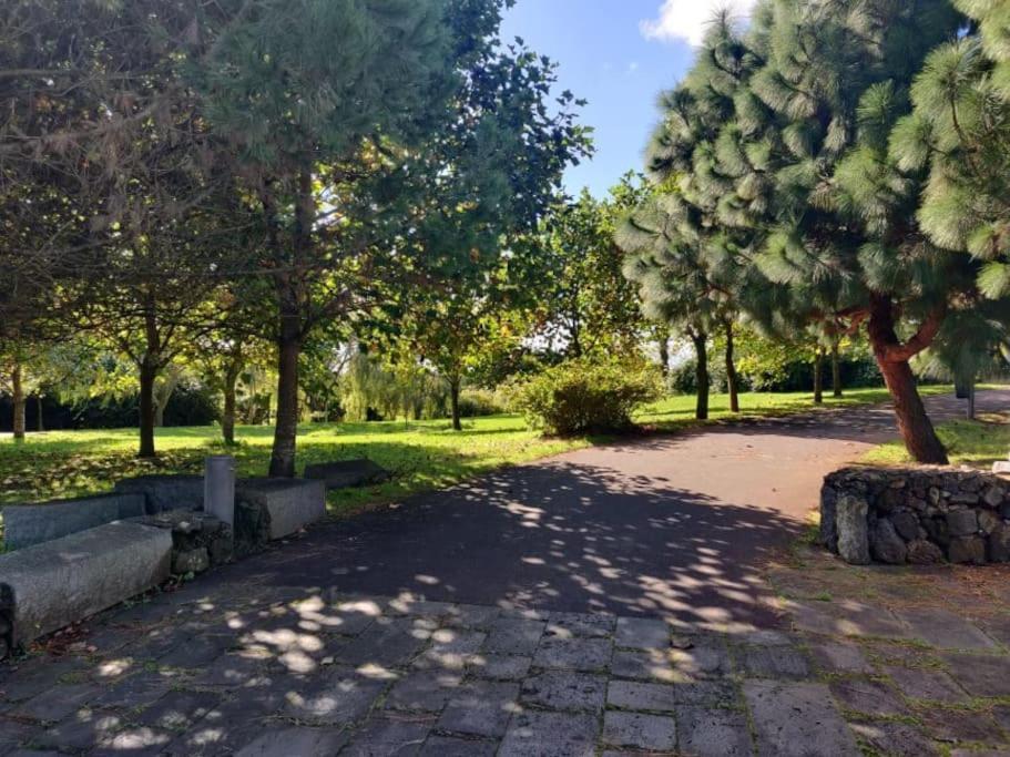 New City Park Apartment In Ponta Delgada 외부 사진